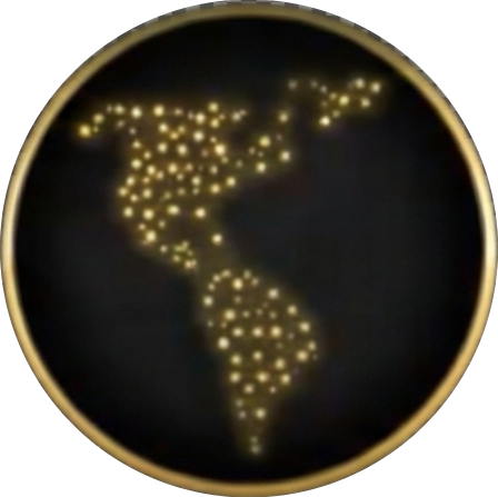 Auro IMS logo